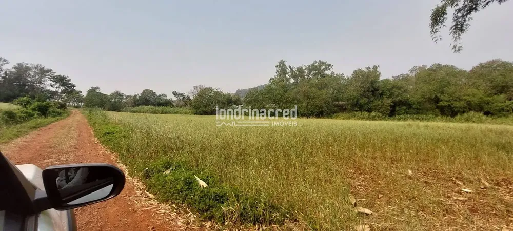 Terreno, 7 hectares - Foto 1