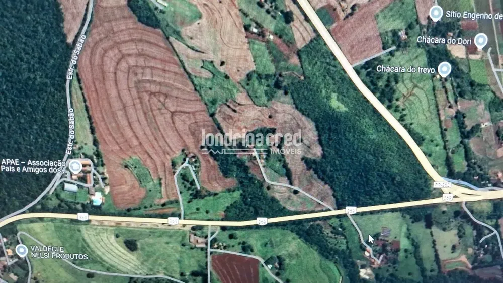 Terreno, 7 hectares - Foto 7