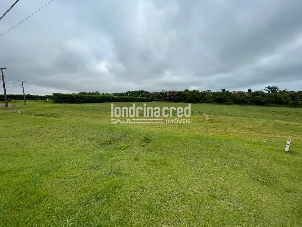 Terreno, 2505 m² - Foto 7