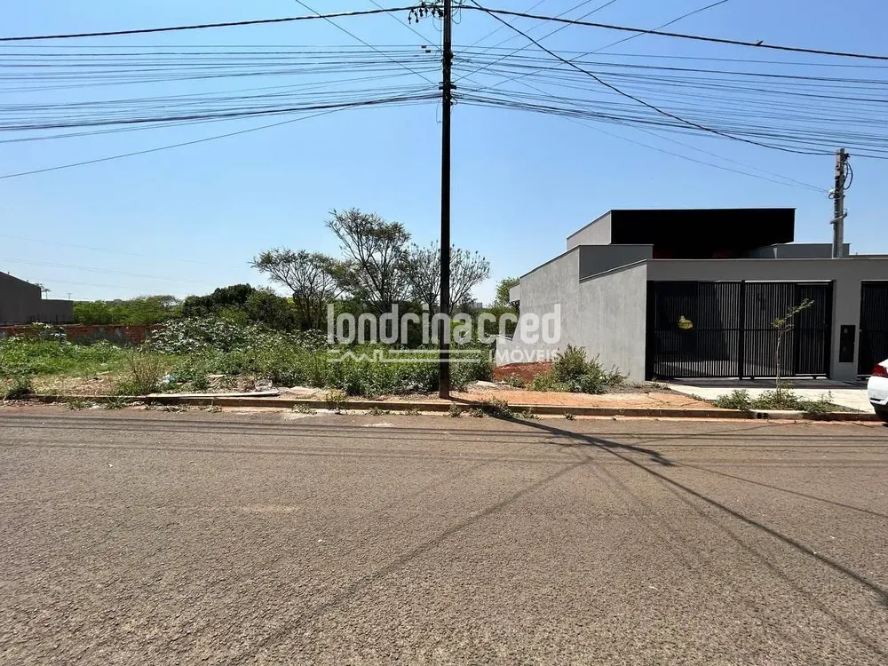 Terreno, 250 m² - Foto 5