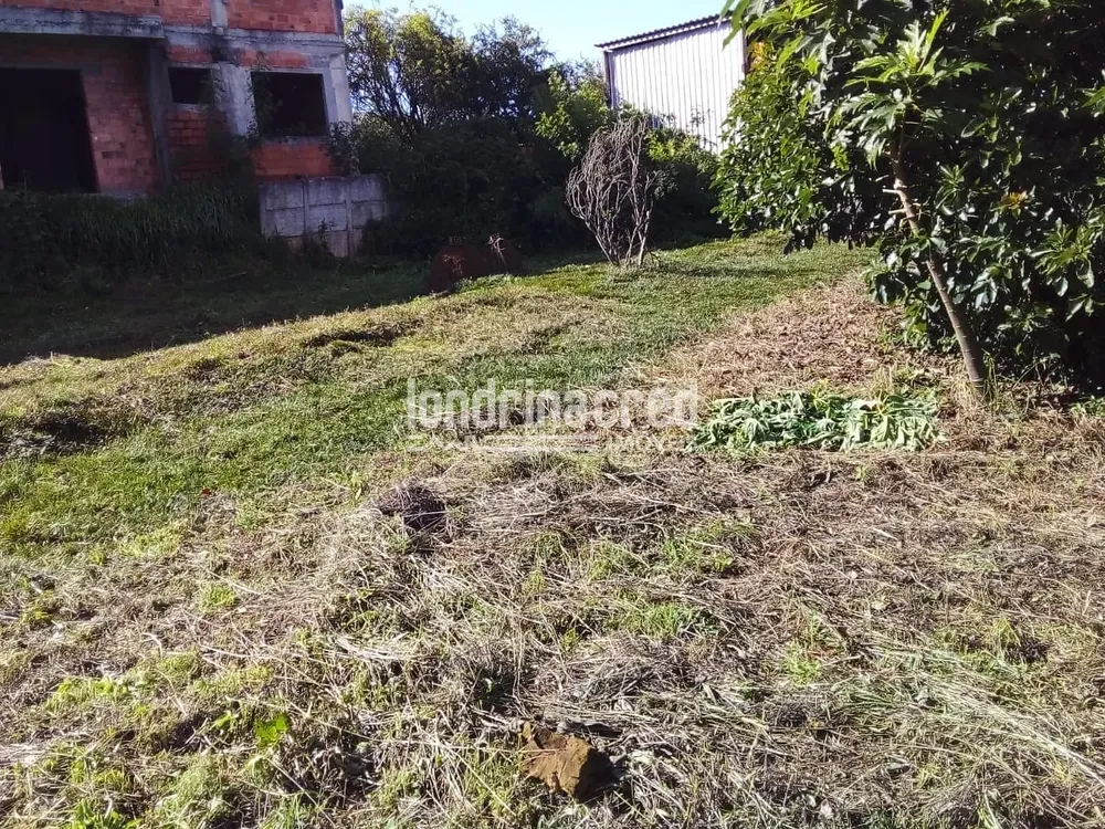 Terreno, 3680 m² - Foto 2