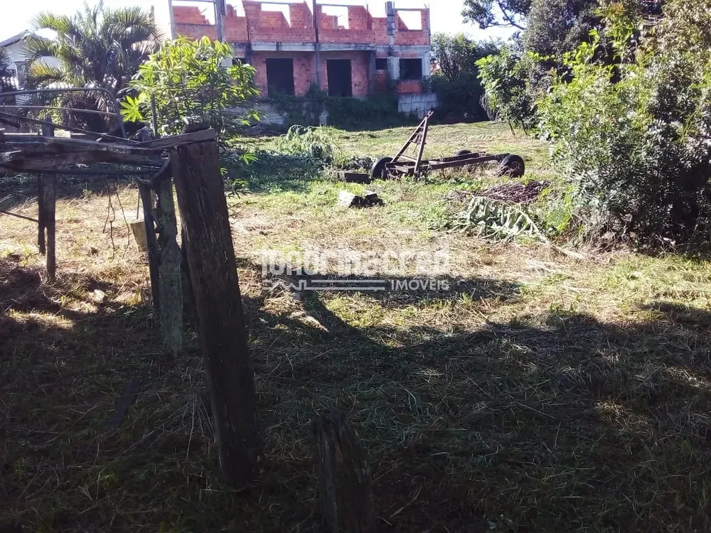 Terreno, 3680 m² - Foto 3