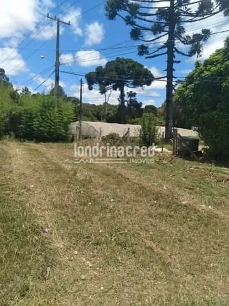 Terreno, 2000 m² - Foto 3