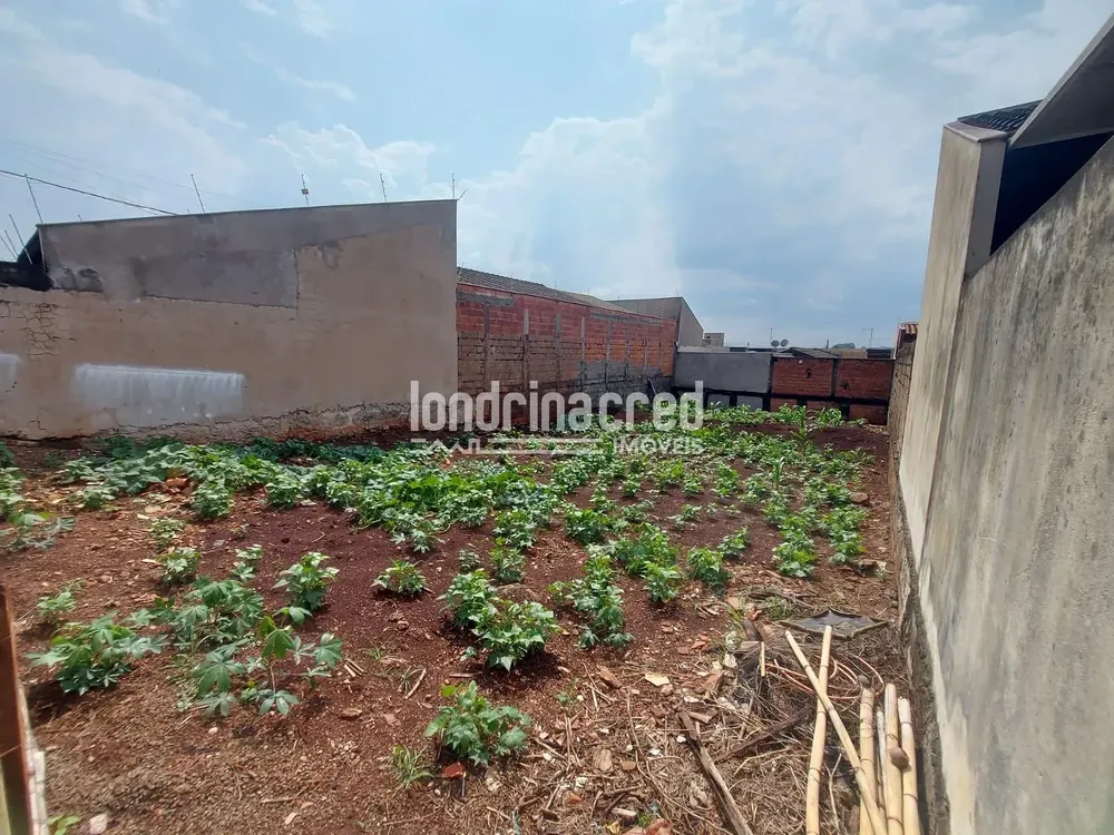Terreno, 250 m² - Foto 2