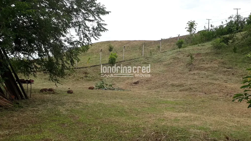 Chácara, 1 quarto, 5055 m² - Foto 8