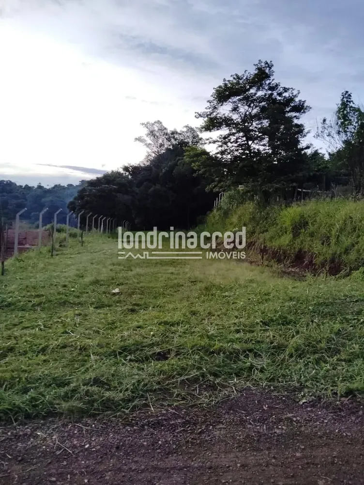 Terreno, 1000 m² - Foto 2