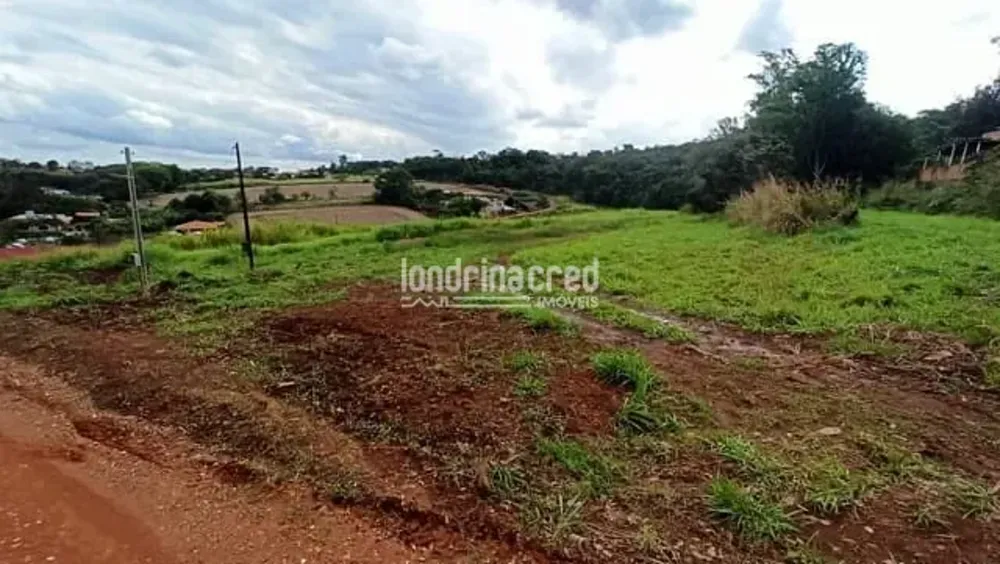 Terreno, 1000 m² - Foto 1