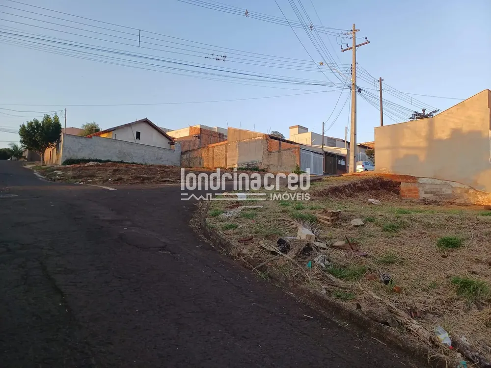 Terreno, 290 m² - Foto 3