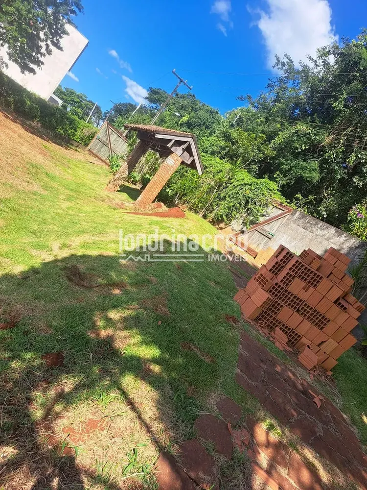 Sítio, 1 quarto, 3695 m² - Foto 5