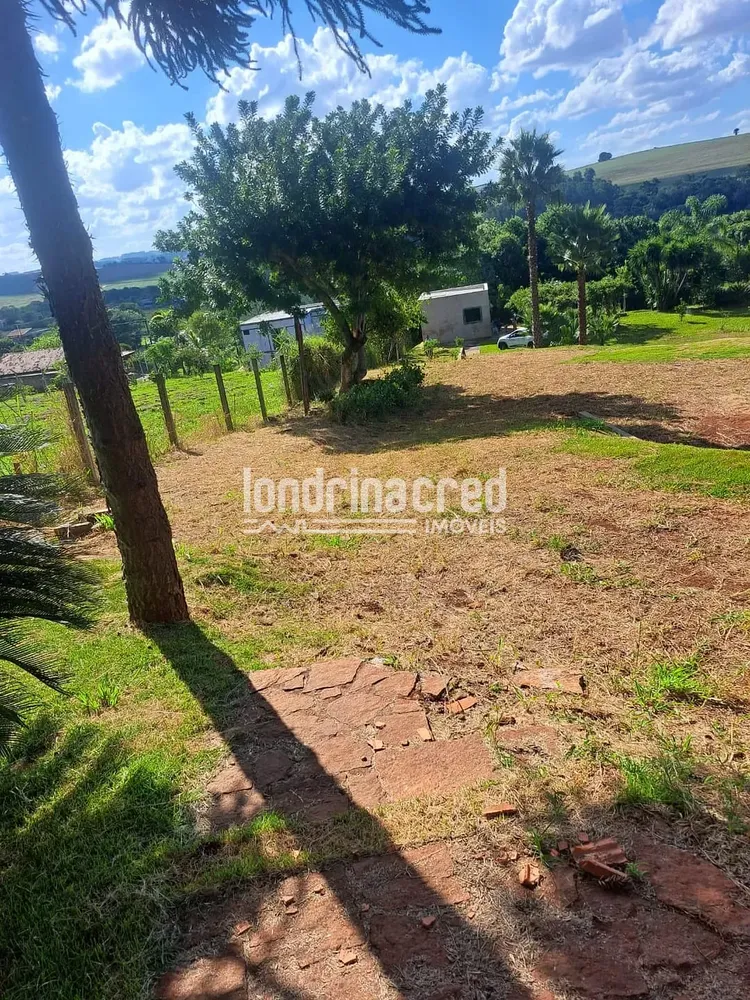 Sítio, 1 quarto, 3695 m² - Foto 6