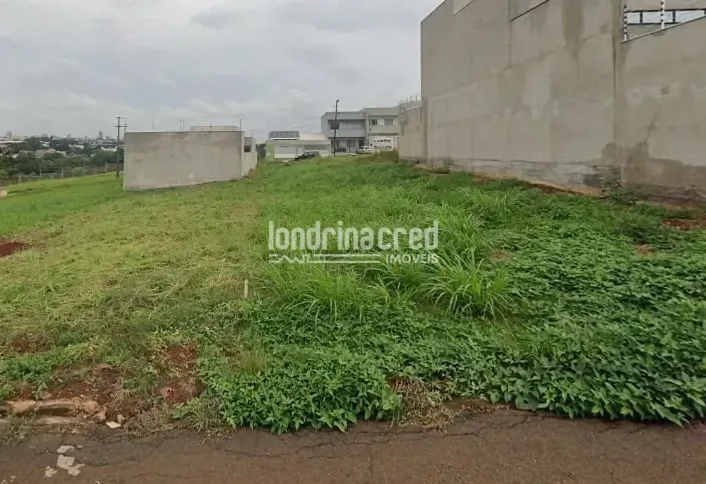 Terreno, 250 m² - Foto 1