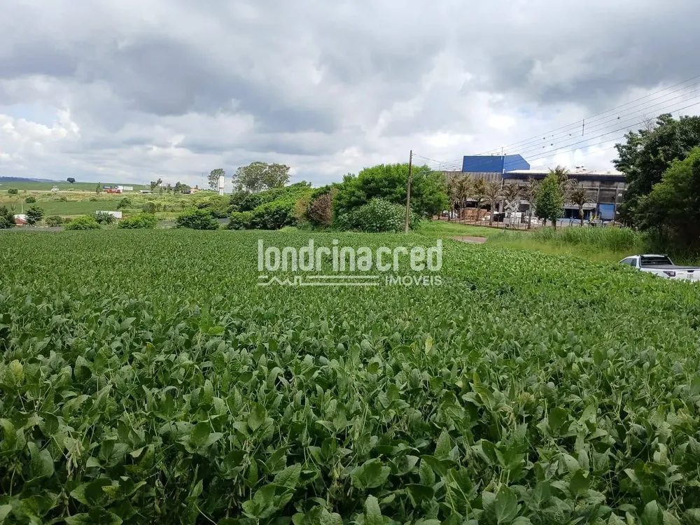 Terreno, 2 hectares - Foto 6