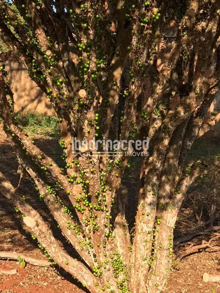 Terreno, 3680 m² - Foto 4