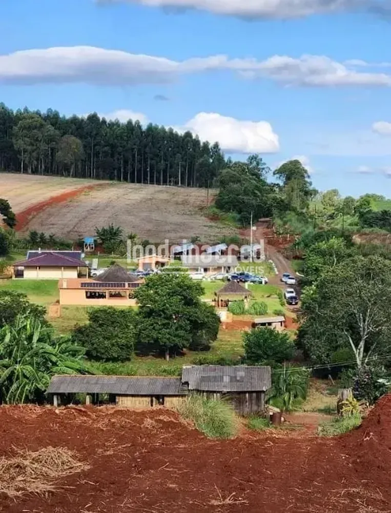 Chácara, 4 quartos, 2 hectares - Foto 1