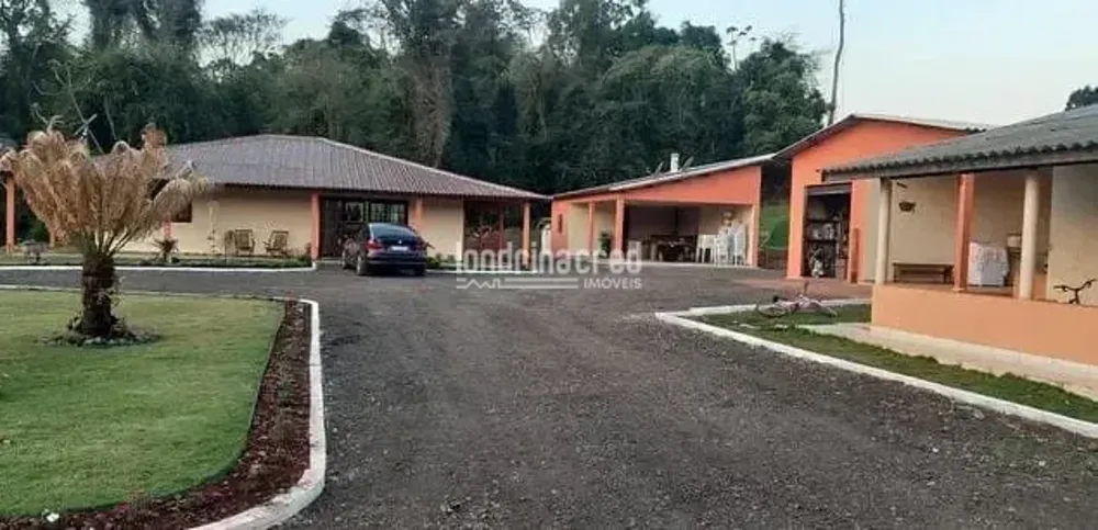Chácara, 4 quartos, 2 hectares - Foto 3