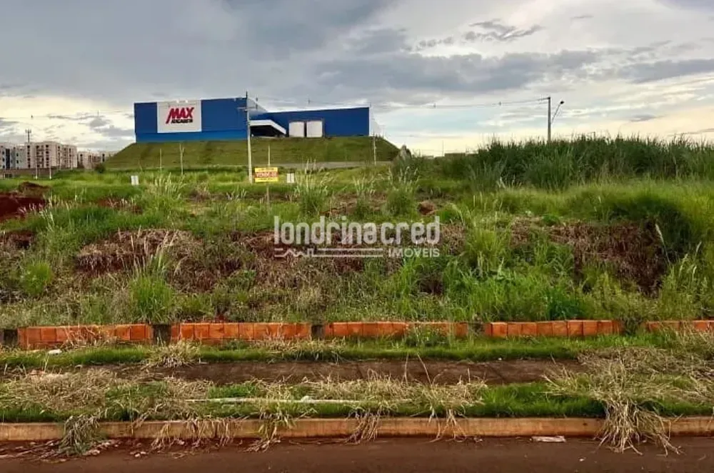 Terreno, 250 m² - Foto 3