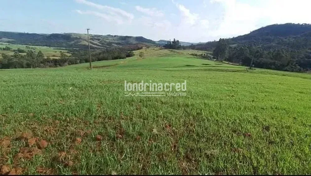 Sítio, 1 quarto, 21 hectares - Foto 1