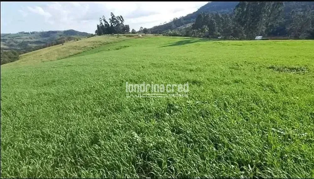 Sítio, 1 quarto, 21 hectares - Foto 2