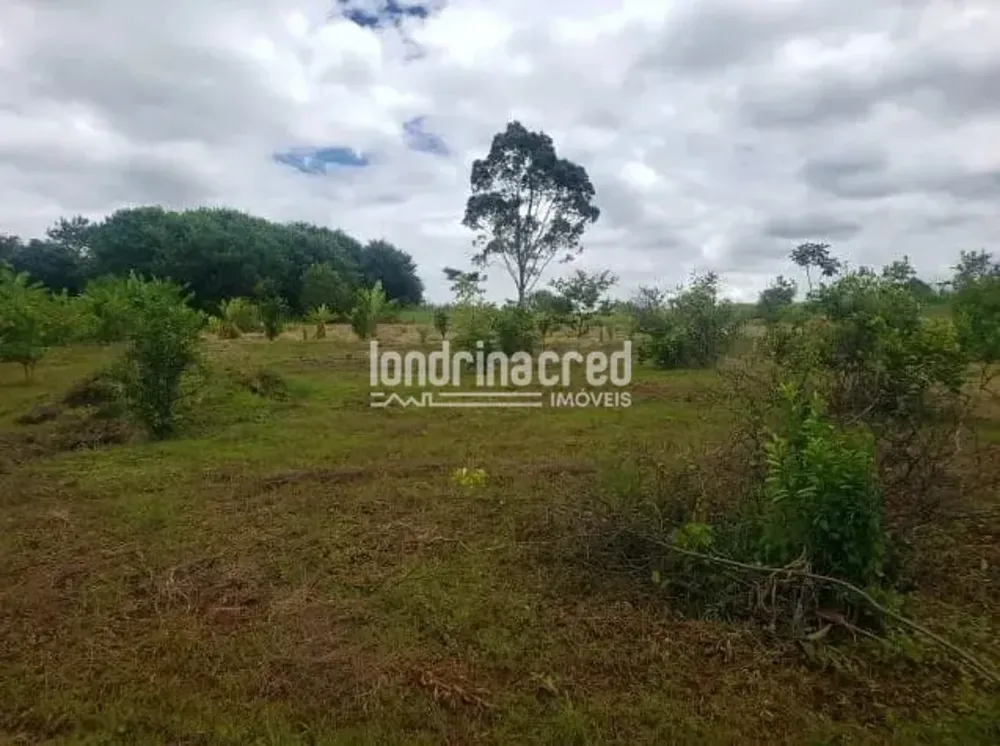 Sítio, 1 quarto, 2 hectares - Foto 1