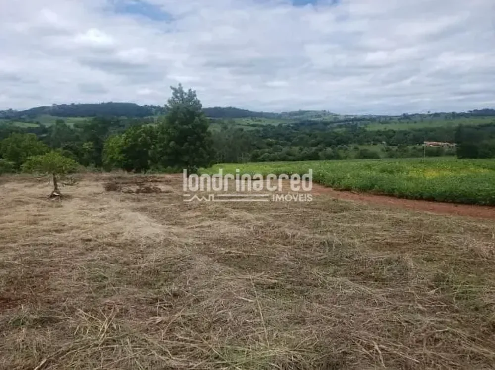 Sítio, 1 quarto, 2 hectares - Foto 4