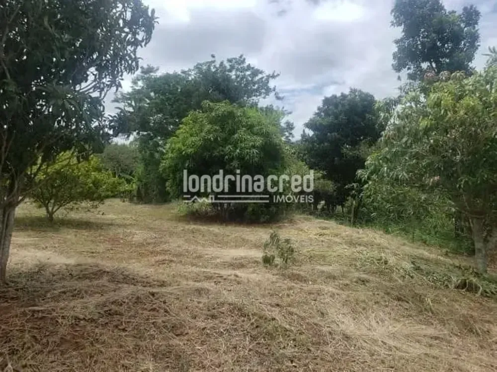 Sítio, 1 quarto, 2 hectares - Foto 4