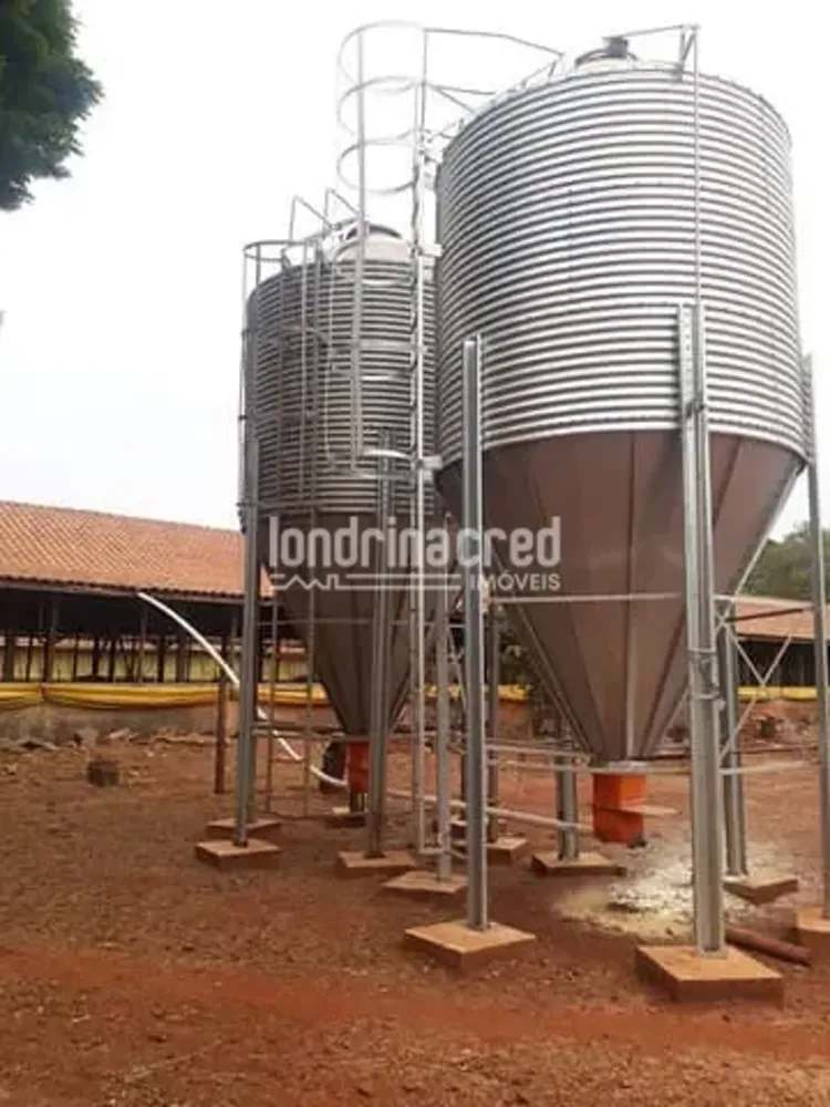 Fazenda, 10 m² - Foto 7