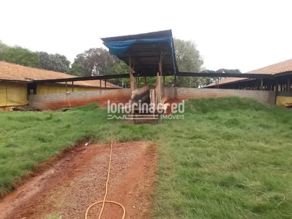 Fazenda, 10 m² - Foto 1