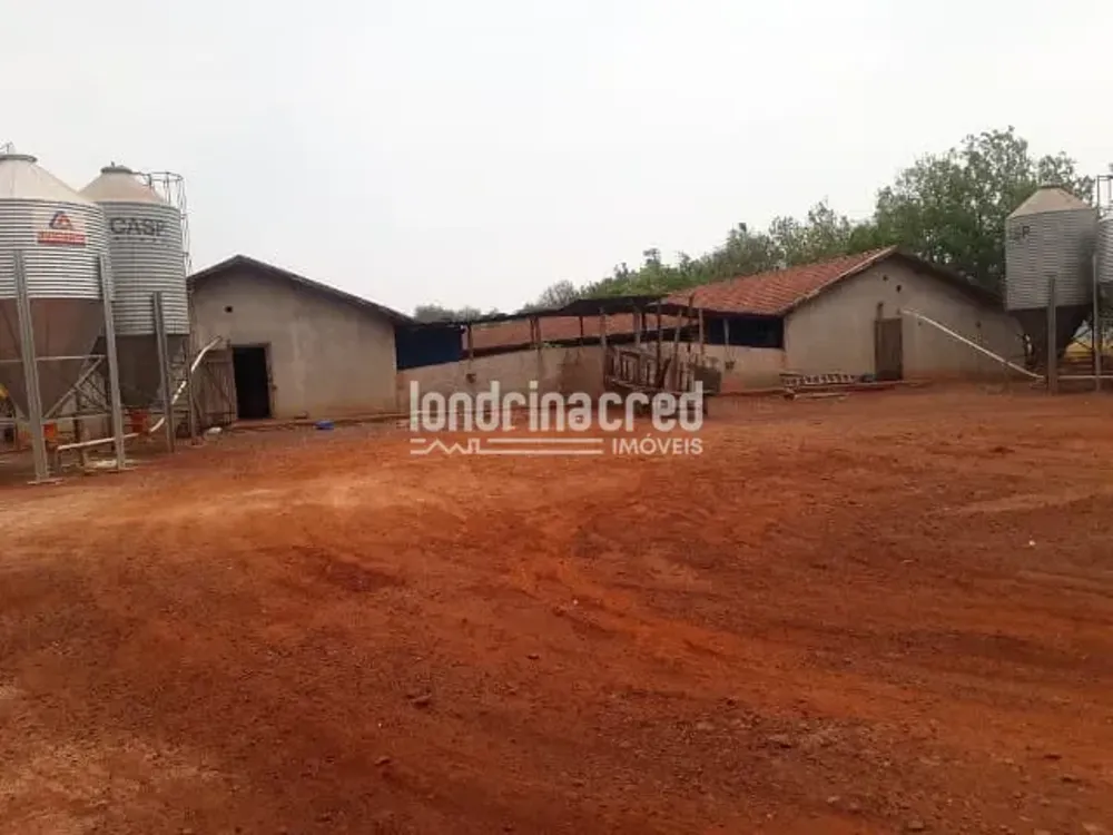Fazenda, 10 m² - Foto 3
