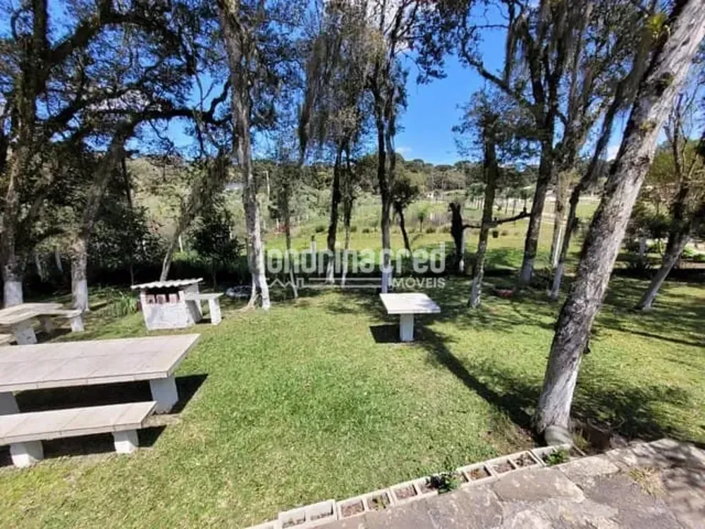 Chácara, 1 quarto, 4 hectares - Foto 3