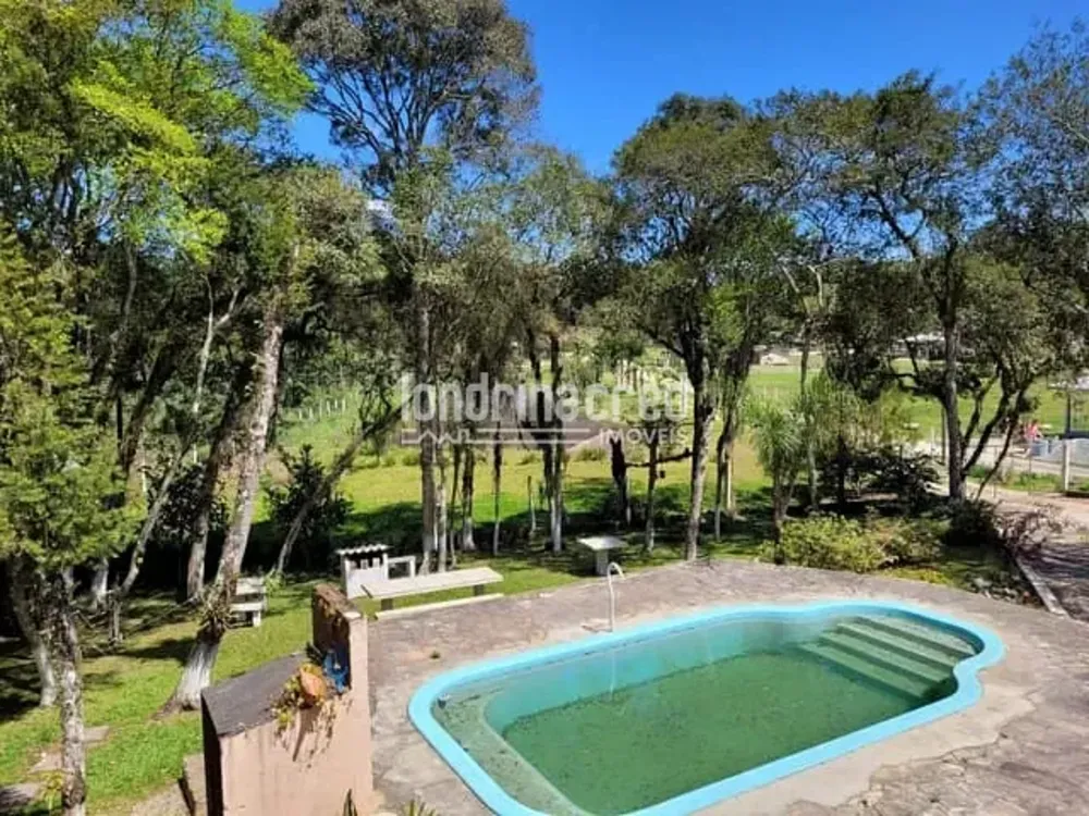 Chácara, 1 quarto, 4 hectares - Foto 1