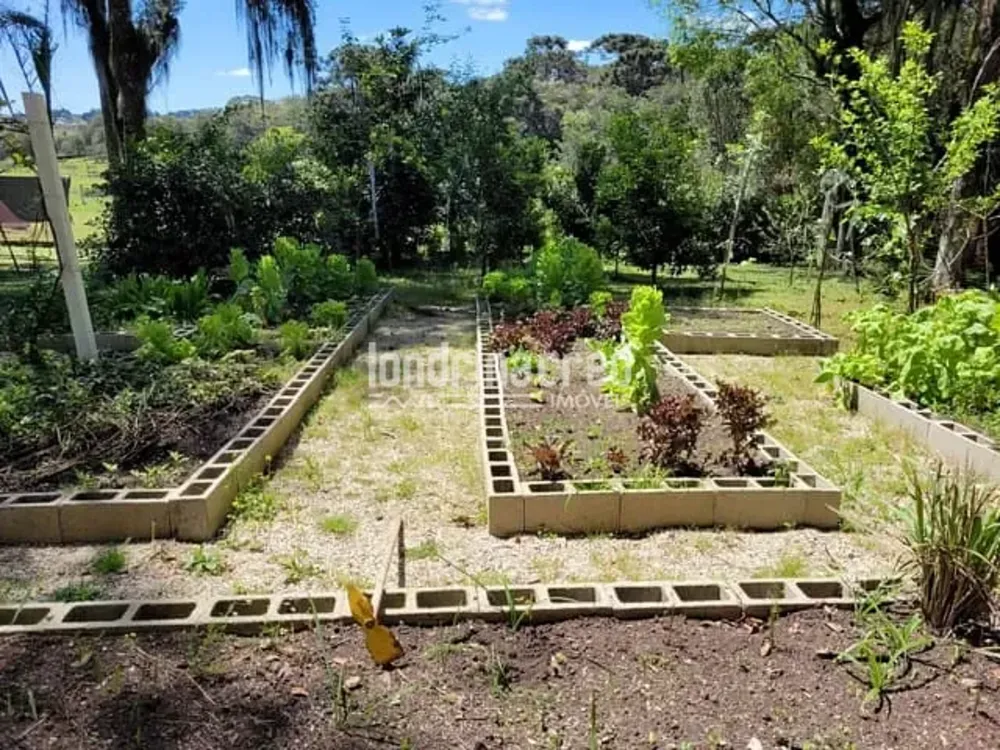 Chácara, 1 quarto, 4 hectares - Foto 4