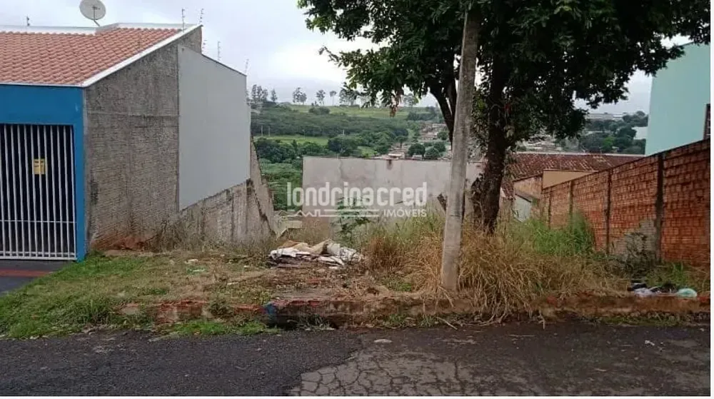 Terreno, 250 m² - Foto 1