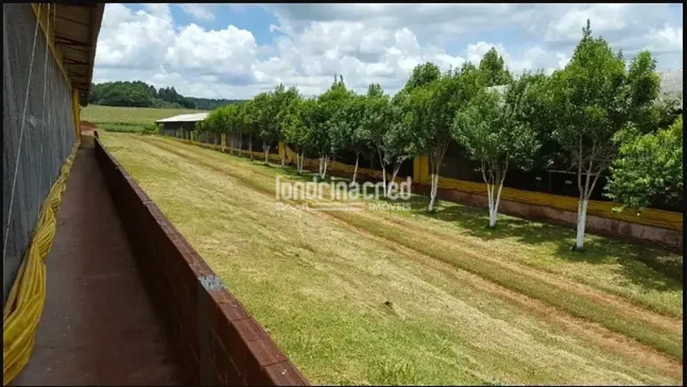 Sítio, 1 quarto, 24 hectares - Foto 1