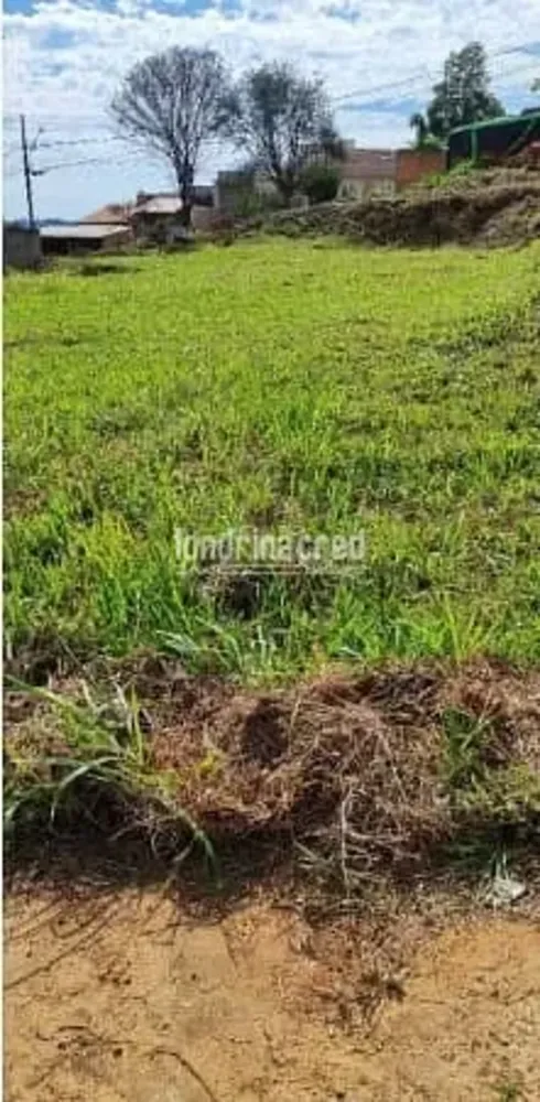Terreno, 250 m² - Foto 5