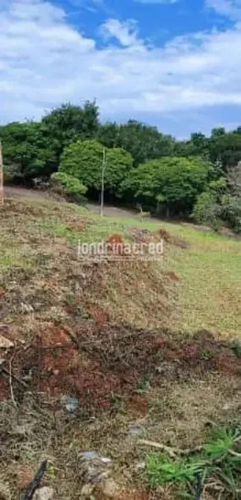 Terreno, 250 m² - Foto 3
