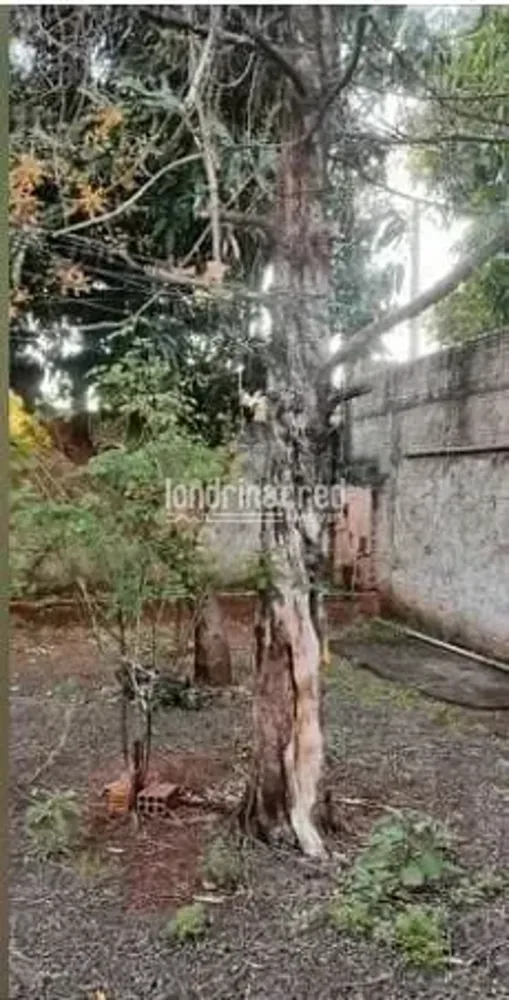 Casa, 2 quartos, 65 m² - Foto 1