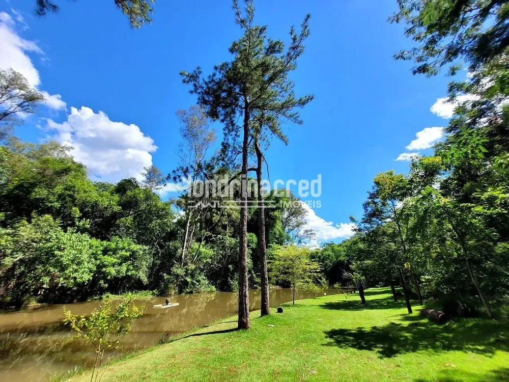 Terreno, 250 m² - Foto 6