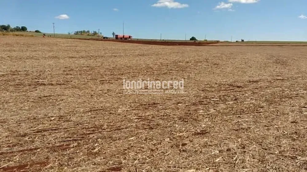 Sítio, 1 quarto, 7 hectares - Foto 4