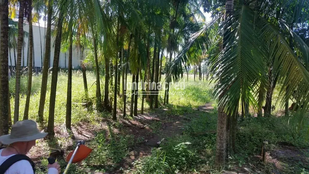 Terreno, 4950 m² - Foto 2