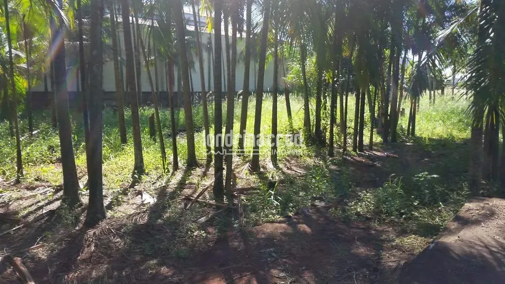 Terreno, 4950 m² - Foto 4