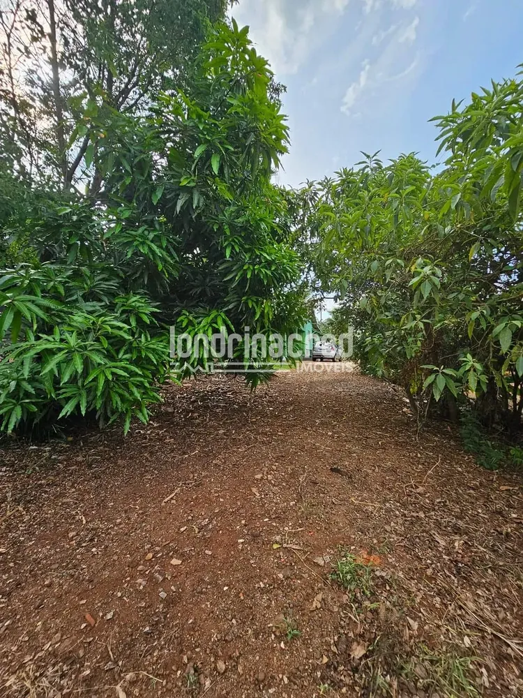Chácara, 1 quarto, 2 hectares - Foto 3