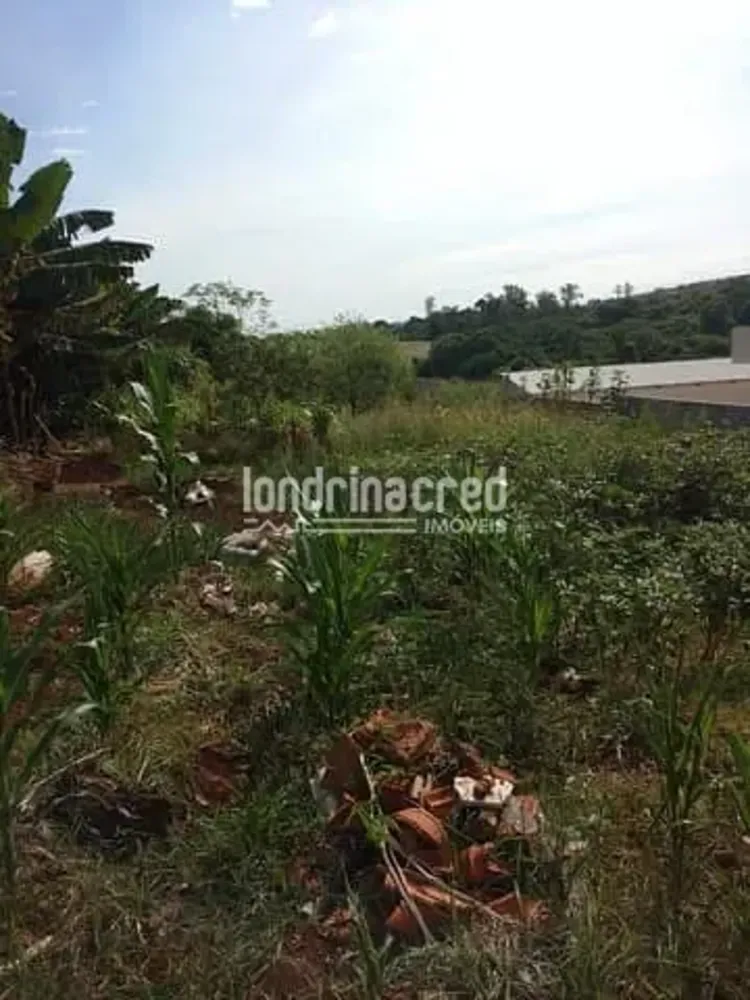 Terreno, 502 m² - Foto 1