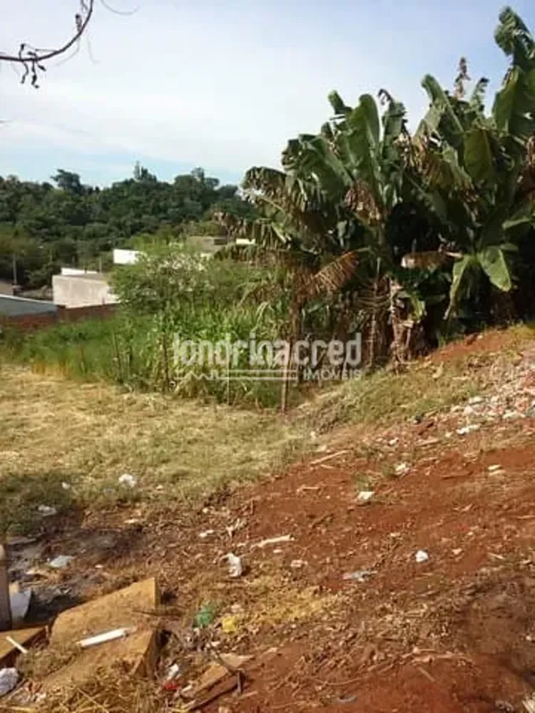 Terreno, 502 m² - Foto 4