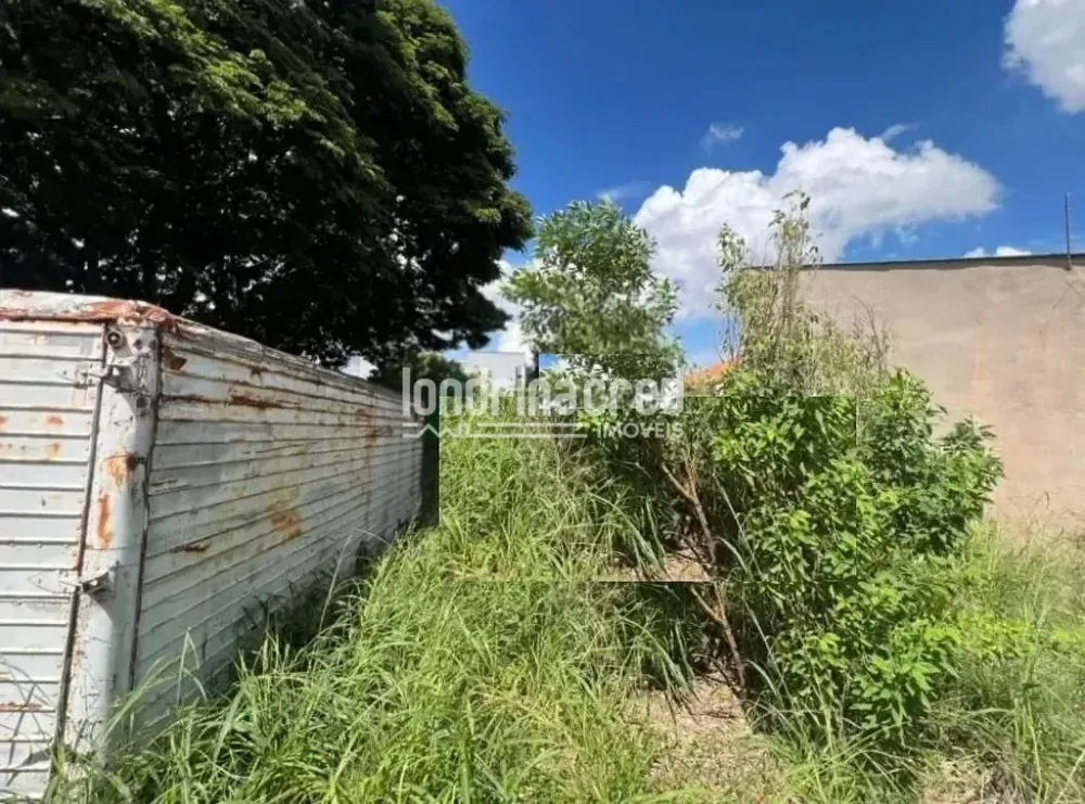 Terreno, 250 m² - Foto 3