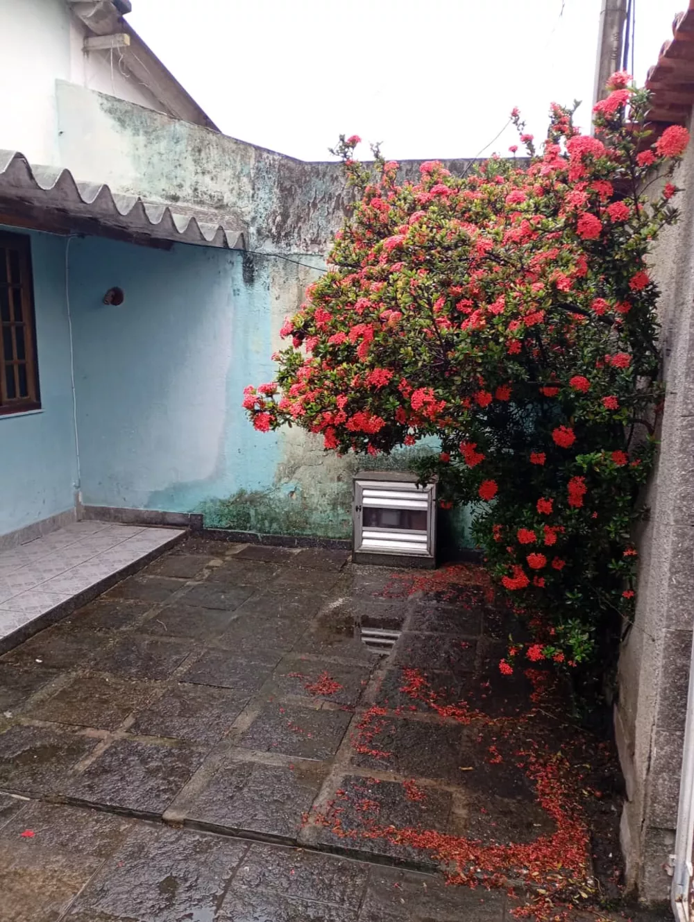 Casa, 2 quartos - Foto 13