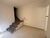 Casa, 3 quartos, 190 m² - Foto 4