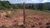 Terreno, 5000 m² - Foto 3