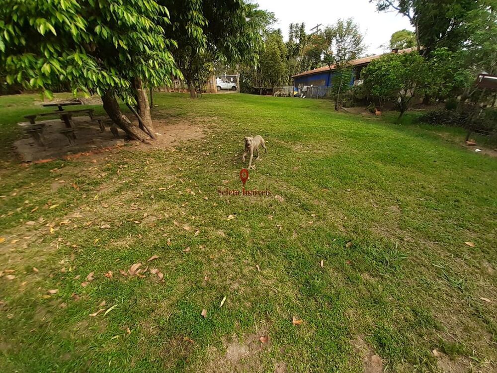 Chácara, 2 quartos, 6180 m² - Foto 5