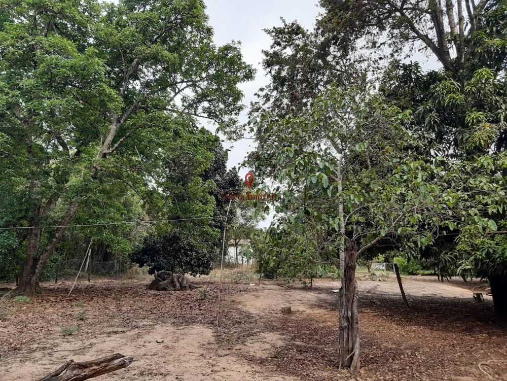 Chácara, 2 quartos, 6180 m² - Foto 8