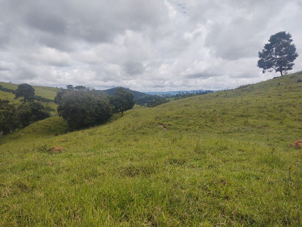 Terreno, 6 hectares - Foto 2